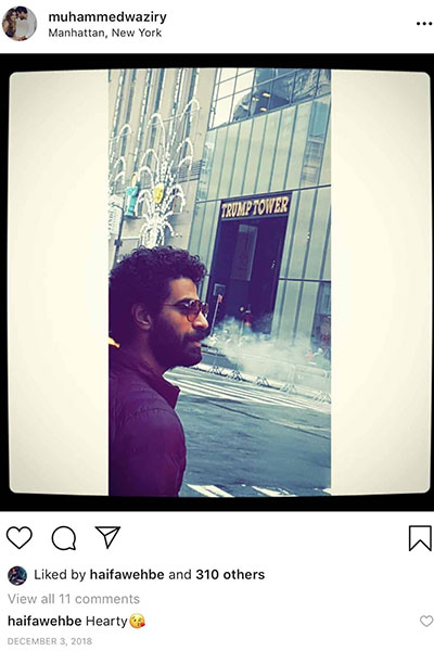 اضغط لمشاهدة الصور: هل قبلتْ هيفاء وهبي الزواج من محمد الوزيري؟